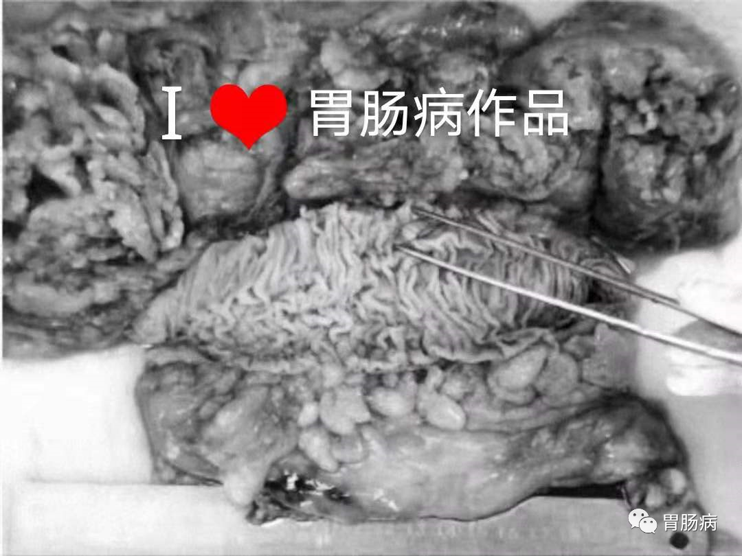 微信图片_20210608172527.png
