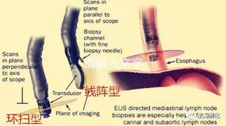 微信图片_20210720150017.jpg