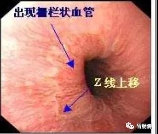 微信图片_20210902145728.jpg