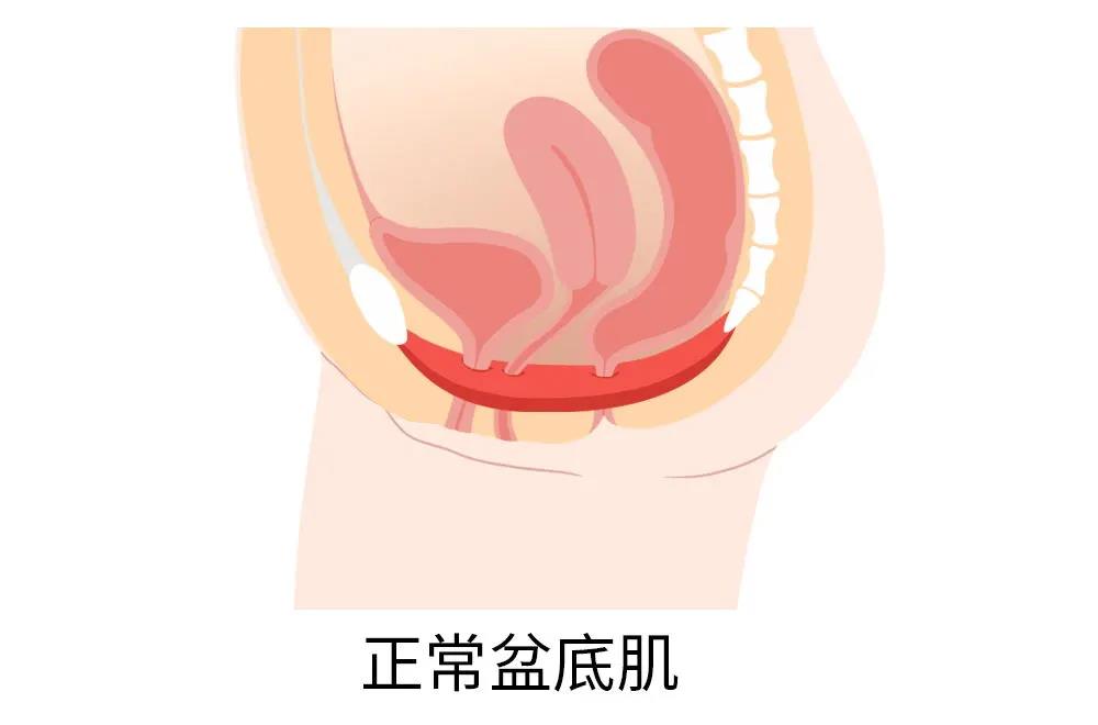 微信图片_20210701165942.jpg