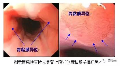 微信图片_20210902145726.jpg