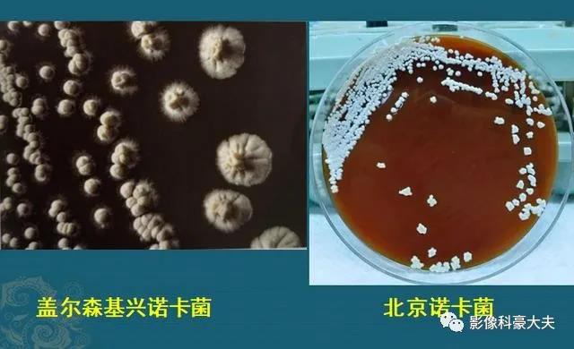 微信图片_20210408134924.jpg