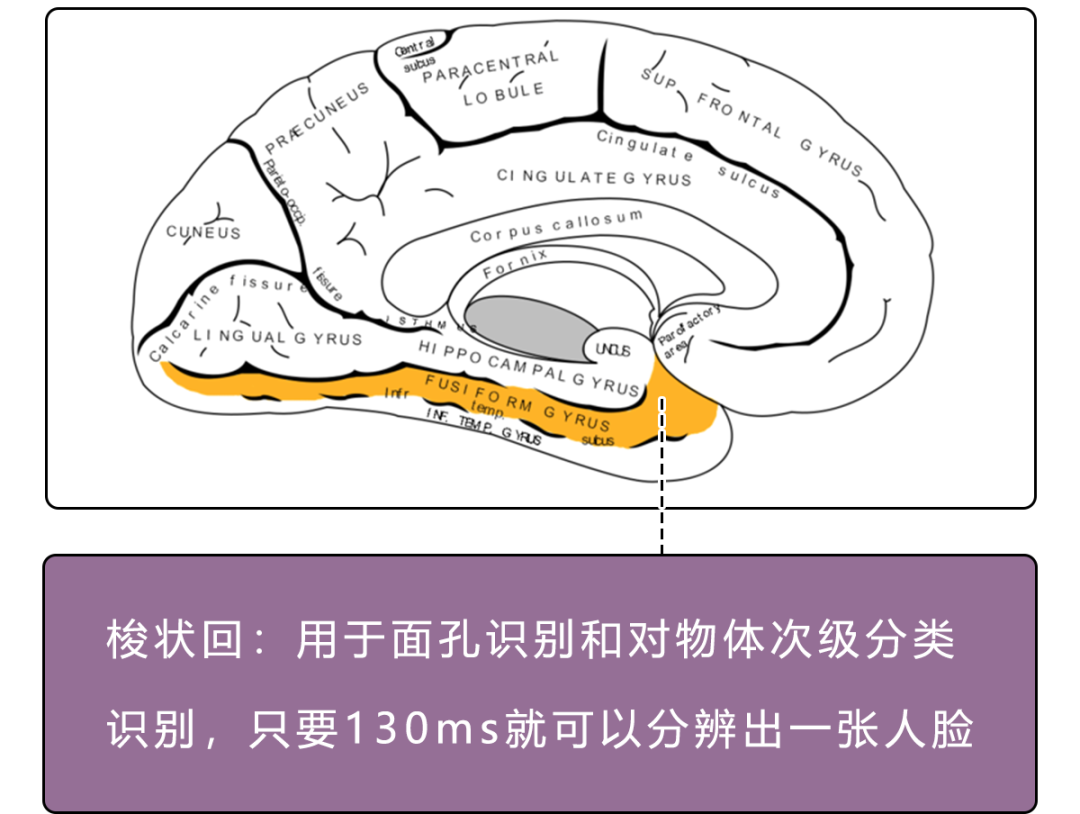 微信图片_20200928112432.png