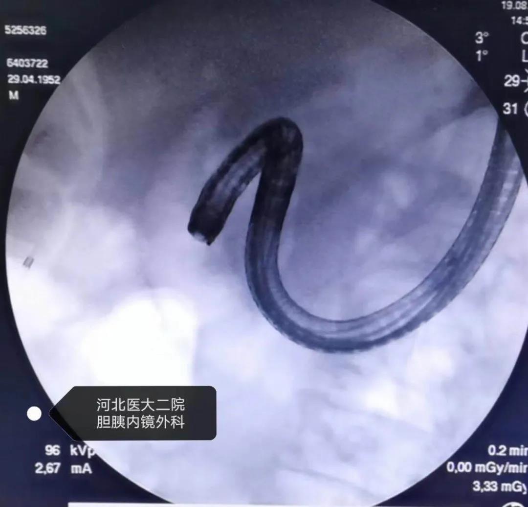 微信图片_20210610180212.jpg