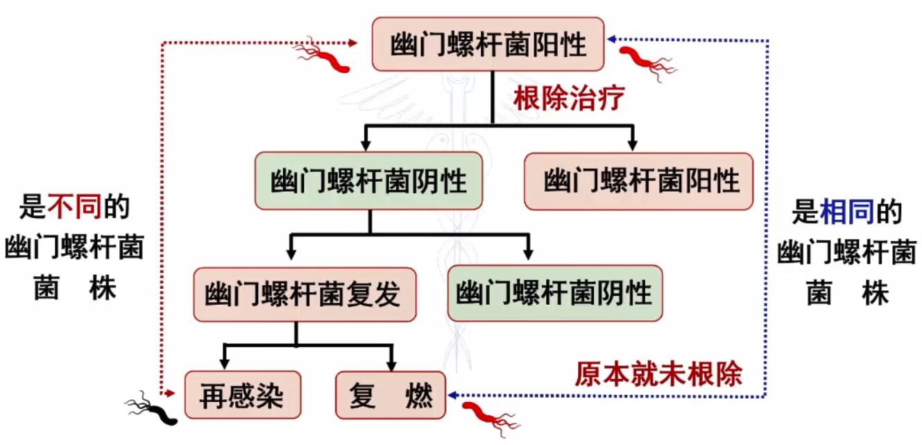再感染.png