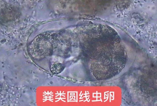 微信图片_20210706164923.jpg