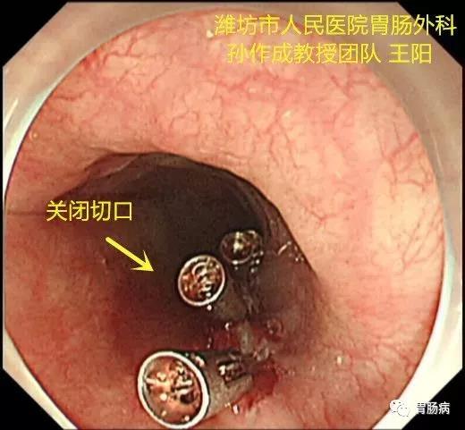 微信图片_20210204140723.jpg