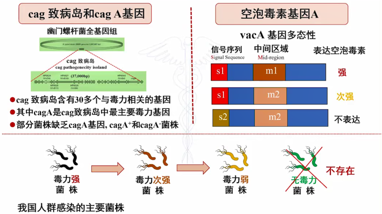 毒力.png