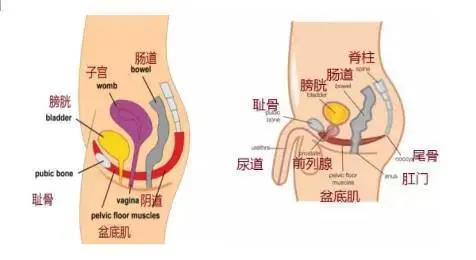 微信图片_20210701165919.jpg