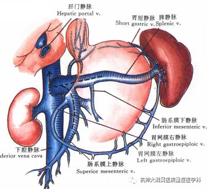 微信图片_20211206165006.png