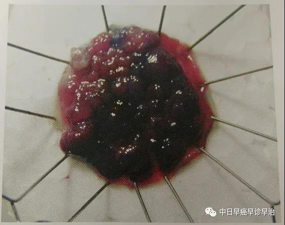 微信图片_20210816101349.jpg