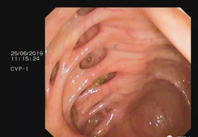 8.webp.jpg