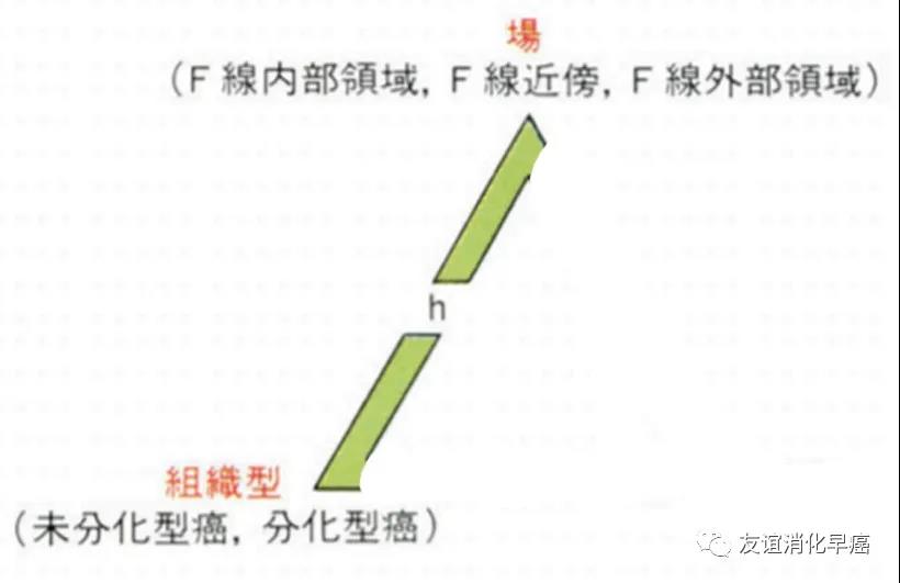 壹生资讯-胃癌三角理论：从病理学看胃癌的诊断