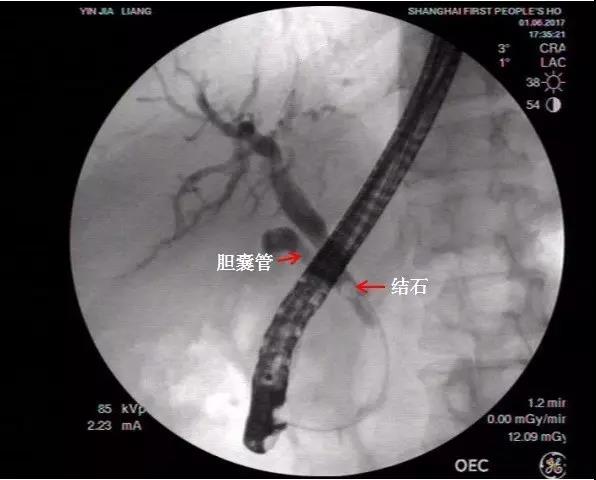 微信图片_20210713151705.jpg