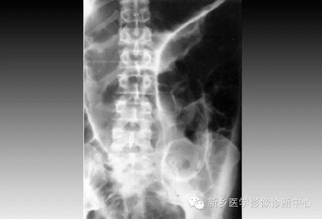 微信图片_20210601160701.jpg