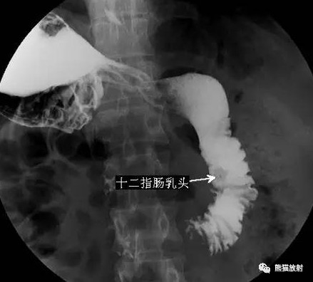 微信图片_20220330111720.jpg