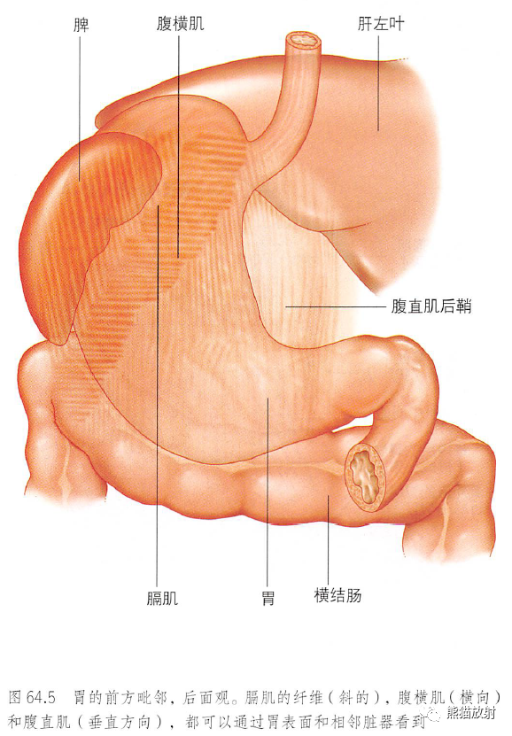 微信图片_20220309173901.png