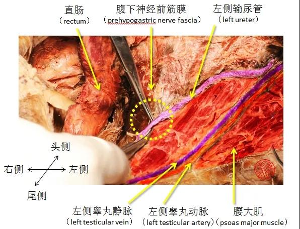 微信图片_20210902152609.jpg