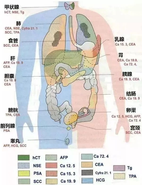 微信图片_20210514135635.jpg