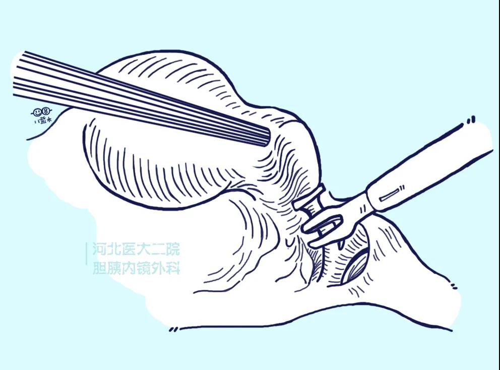微信图片_20211227150444.jpg