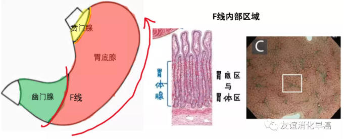 微信截图_20200607153535.png