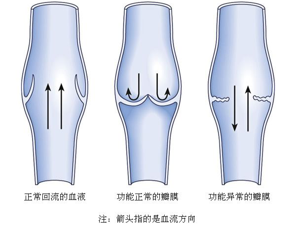 微信图片_20200928110400.png