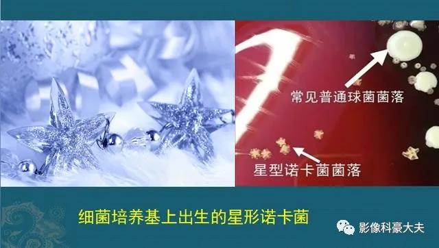 微信图片_20210408134918.jpg