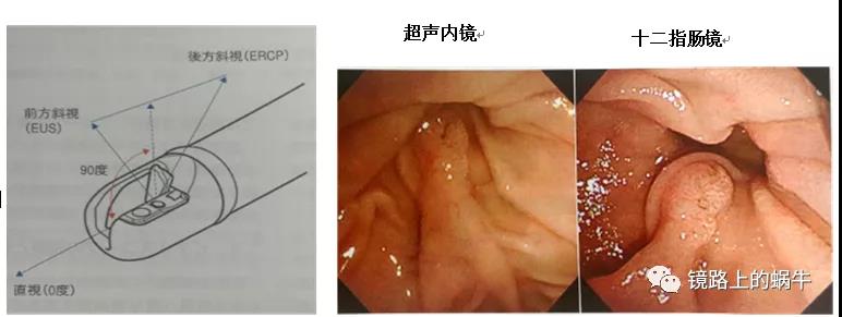 微信图片_20210730131349.jpg