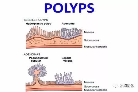 640.webp (2).jpg
