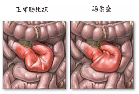 微信图片_20220408091148.png