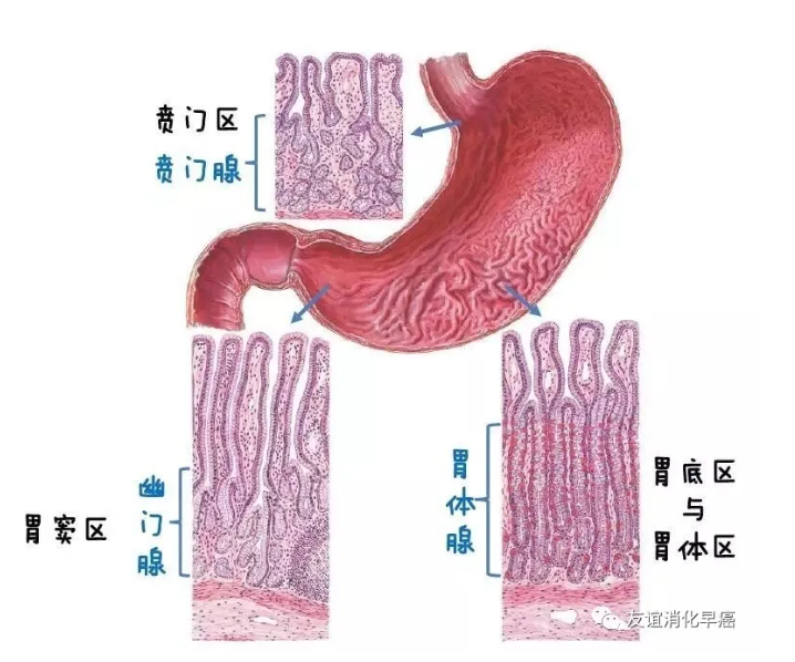 微信截图_20200607125710.png