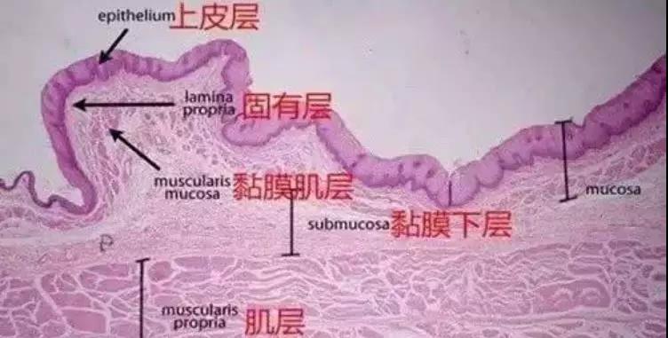 微信图片_20210713105807.jpg