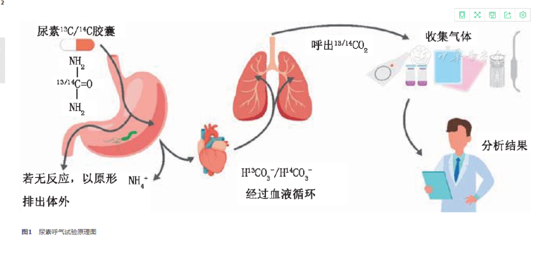 微信图片_20210618092253.png
