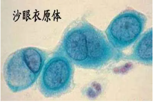 微信截图_20200517142855.png