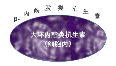 微信图片_20210610151609.jpg