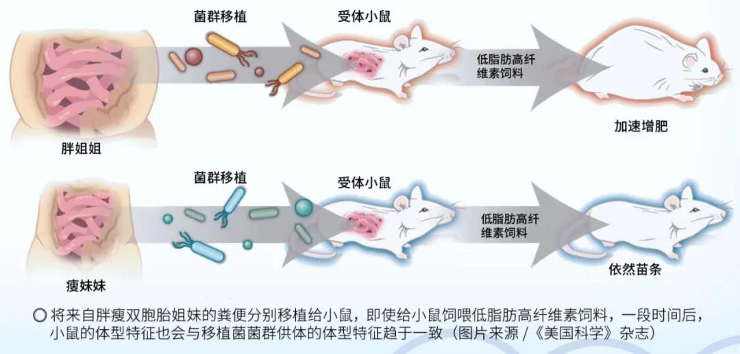 微信图片_20210317112714.jpg
