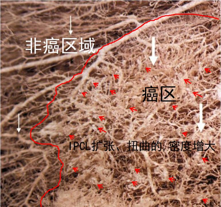 微信图片_20210816101145.png