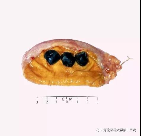 微信图片_20211227170323.jpg