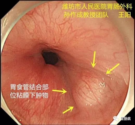 微信图片_20210204140711.jpg