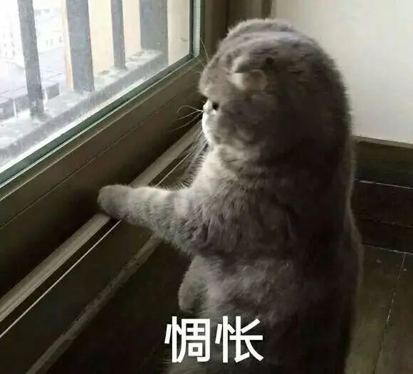 微信图片_20200928110438.jpg