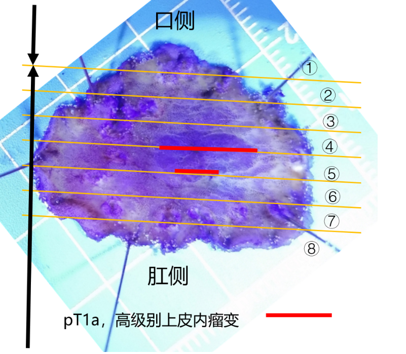 微信图片_20220530133810.png