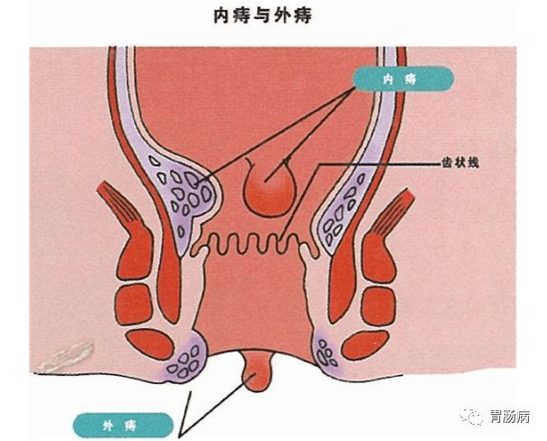 微信图片_20201113180032.jpg