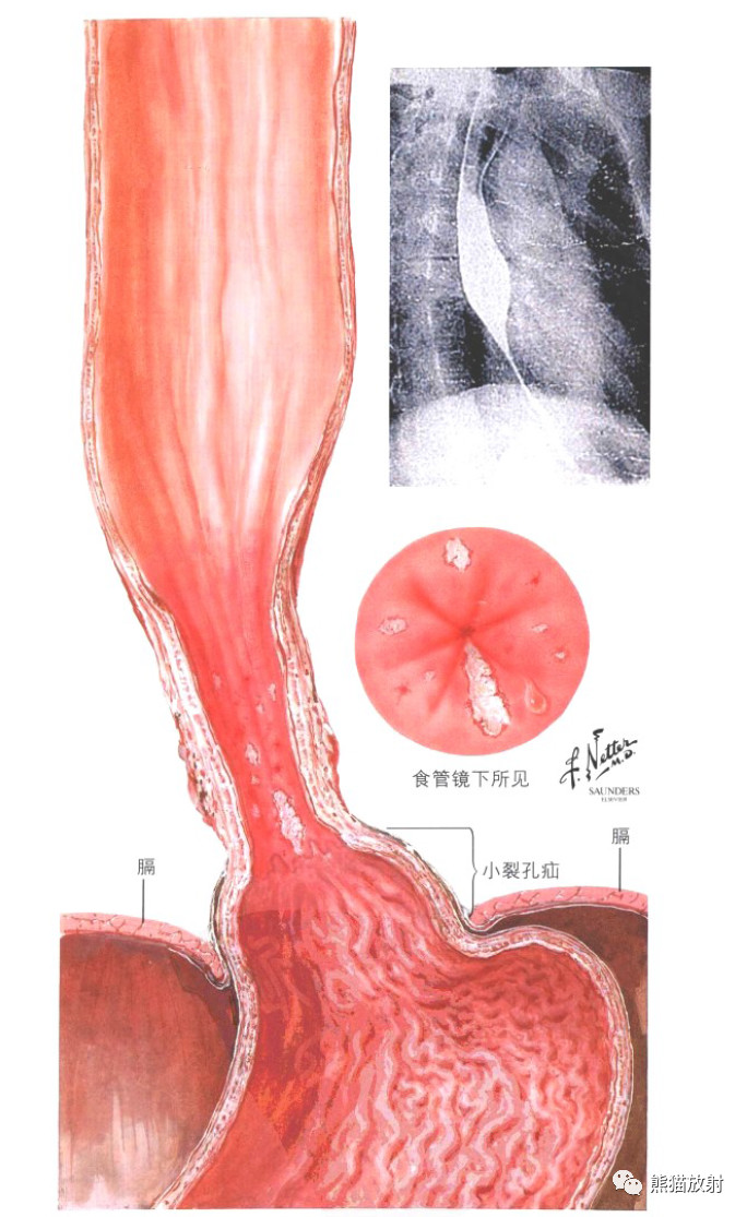 微信图片_20220311150113.jpg