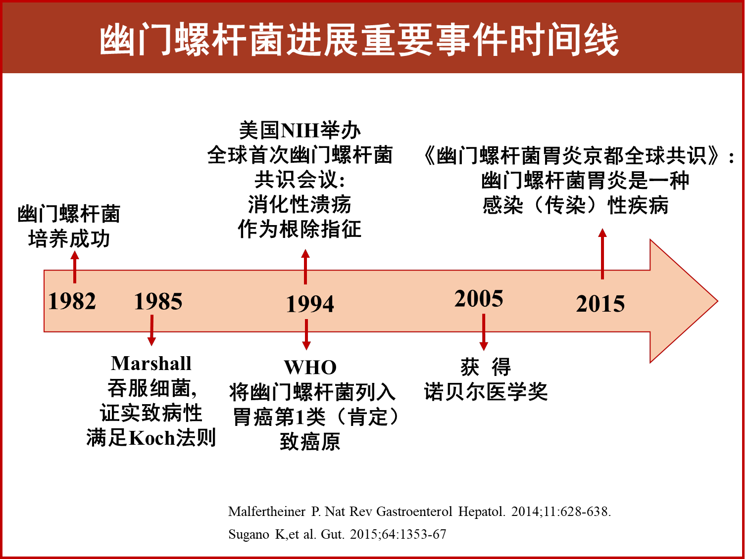 幽门螺杆菌红蓝铅笔图图片