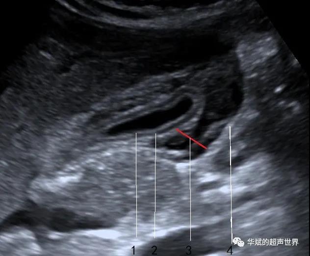 微信图片_20210812155300.jpg
