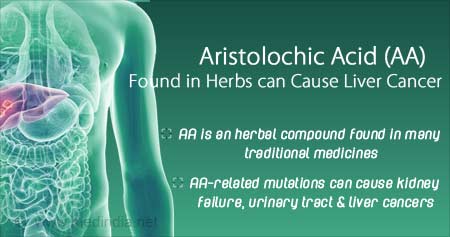 aristolochic-acid-found-in-herbs-cause-liver-cancer.jpg