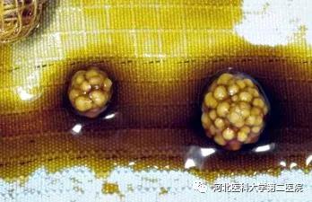 微信图片_20211227170320.jpg