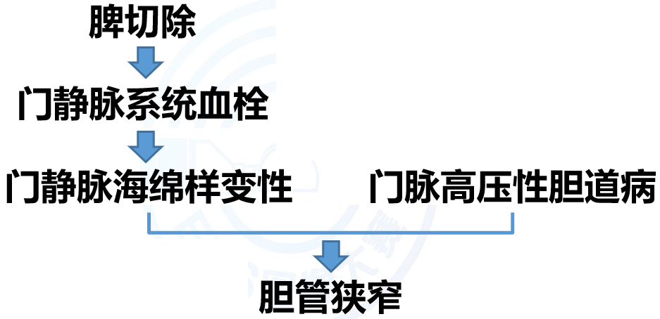 微信图片_20210316173636.png