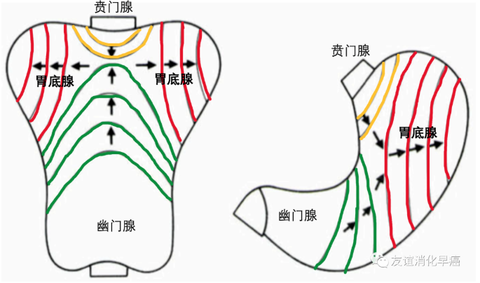 微信截图_20200607125858.png