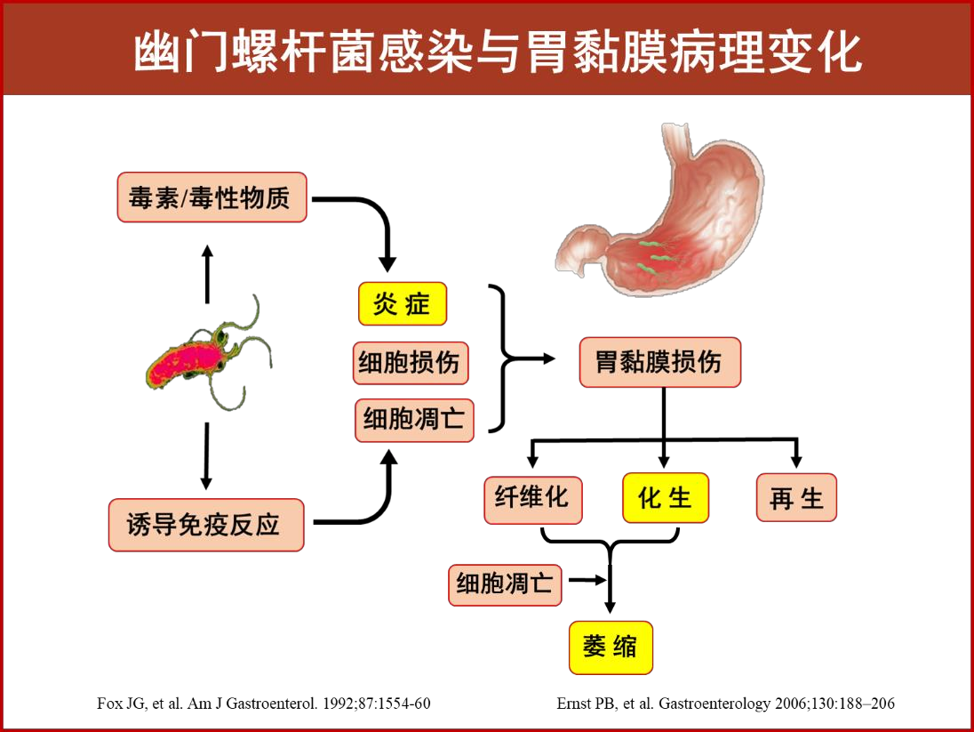 图片1-9.png